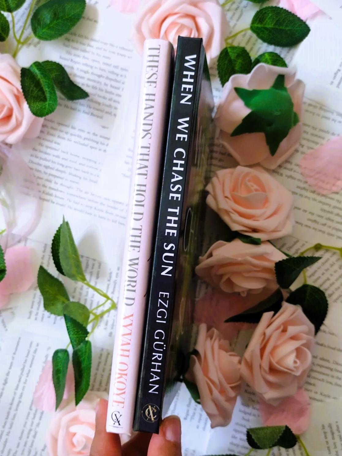 POETRY HARDCOVER BUNDLE: When We Chase The Sun & These Hands That Hold The World