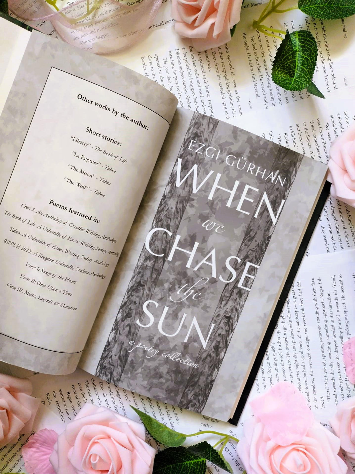 POETRY HARDCOVER BUNDLE: When We Chase The Sun & These Hands That Hold The World